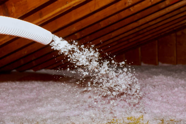 Best Wall Insulation Contractor  in Franklin, OH